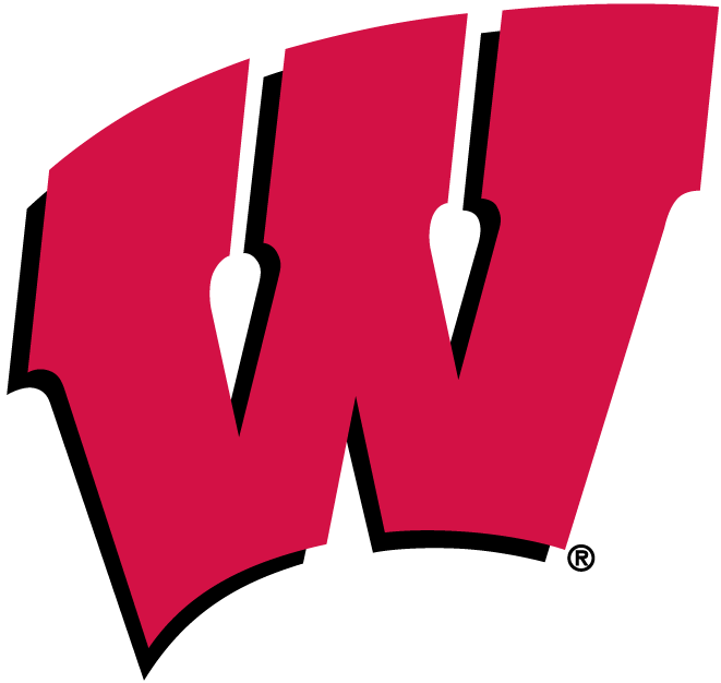 Wisconsin Badgers 1991-Pres Primary Logo iron on transfers for clothing